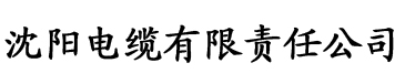 抖阴影视电缆厂logo